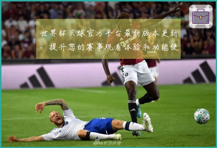世界杯买球官方平台最新版本更新，提升您的赛事观看体验和功能使用指南