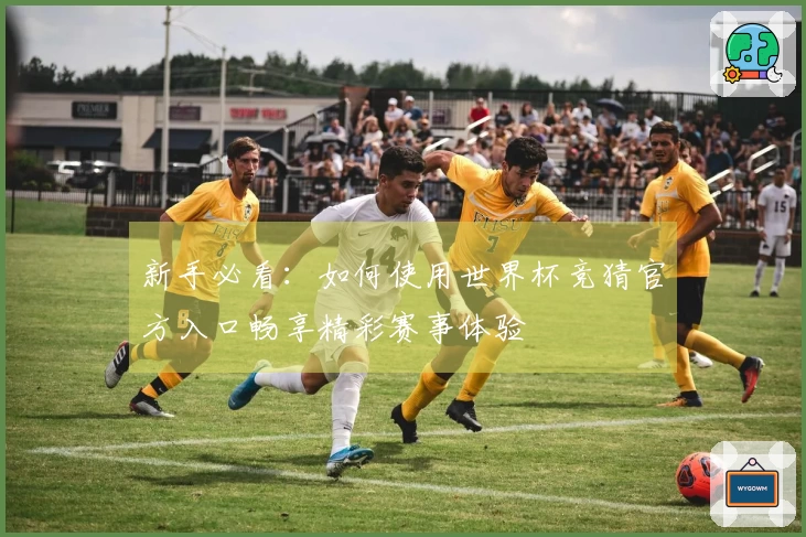 新手必看：如何使用世界杯竞猜官方入口畅享精彩赛事体验