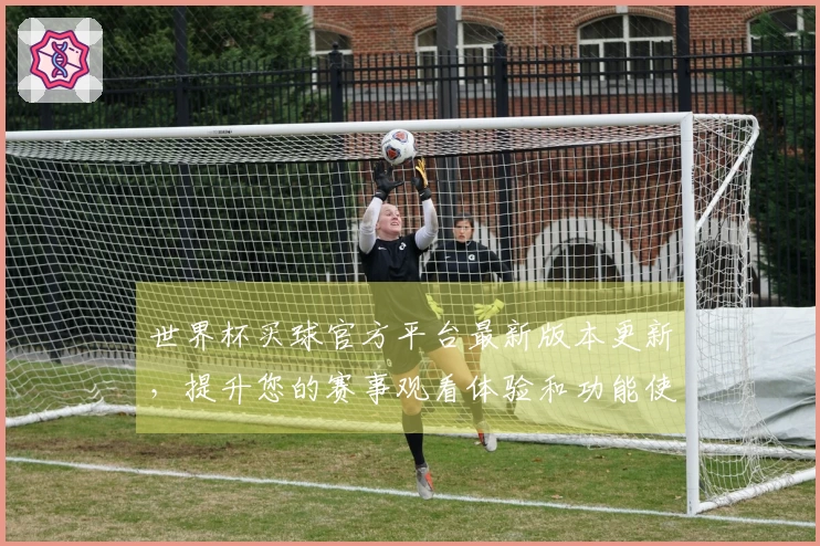 世界杯买球官方平台最新版本更新，提升您的赛事观看体验和功能使用指南