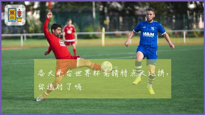 各大平台世界杯竞猜特点大比拼，你选对了吗