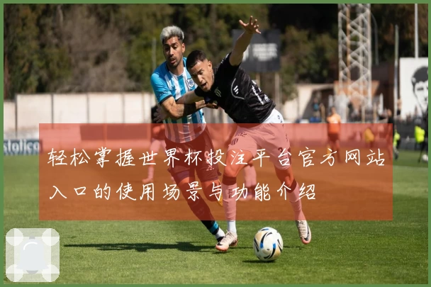 轻松掌握世界杯投注平台官方网站入口的使用场景与功能介绍