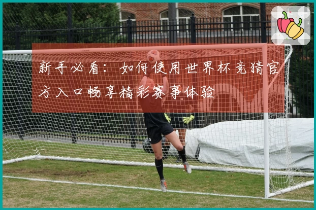新手必看：如何使用世界杯竞猜官方入口畅享精彩赛事体验